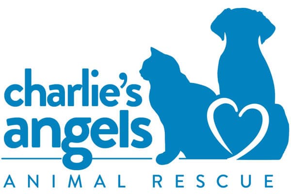 Charlie's Angels Animal Rescue blue on white logo.